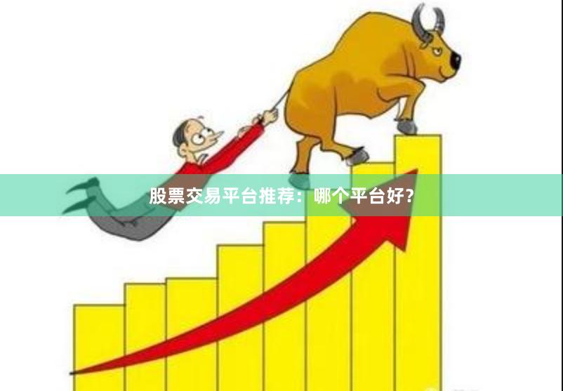 股票交易平台推荐：哪个平台好？