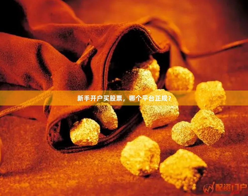 新手开户买股票，哪个平台正规？
